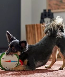 Frisco Camping Compass Plush with Rope Squeaky Dog Toy 7 Frisco Camping Compass Plush with Rope Squeaky Dog Toy -Frisco Sales 2024 271020 PT3. SY630 V1625008965