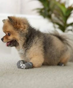 Frisco Non-Skid Cable Knit Dog Socks -Frisco Sales 2024 272473 PT8. SY630 V1634830684