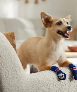 Frisco Non-Skid Navy Dog Socks, Red & White Stripe -Frisco Sales 2024 272499 PT8. SY630 V1634830361