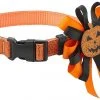 Frisco Orange Glitter Dog Collar with Pumpkin Ribbon -Frisco Sales 2024 272844 MAIN. SY630 V1624047756