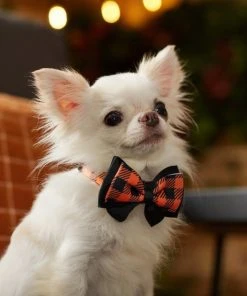 Frisco Halloween Plaid Dog Collar with Bow -Frisco Sales 2024 272857 PT8. SY630 V1623879164