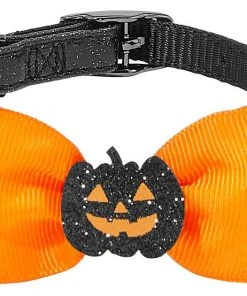Frisco Black Glitter Cat collar with Pumpkin Bow