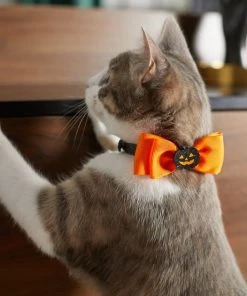 Frisco Black Glitter Cat collar with Pumpkin Bow -Frisco Sales 2024 272866 PT8. SY630 V1623879510