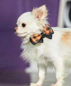 Frisco Removable Halloween Plaid Collar Bow -Frisco Sales 2024 272875 PT8. SY630 V1623879534