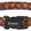 Frisco Spooky Pumpkin Dog Collar -Frisco Sales 2024 272878 MAIN. SY630 V1624047448