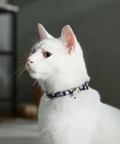 Frisco Flying Ghosts Cat Collar -Frisco Sales 2024 272888 PT8. SY630 V1623879659