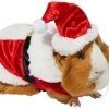 Frisco Santa Claus Guinea Pig Costume, One Size -Frisco Sales 2024 276178 MAIN. SY630 V1631302691