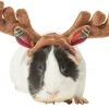 Frisco Holiday Antlers Guinea Pig Headpiece -Frisco Sales 2024 276182 MAIN. SY630 V1631303077