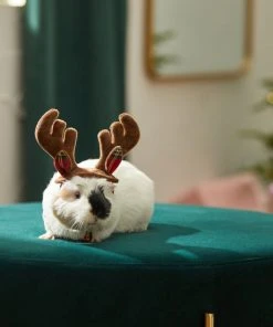 Frisco Holiday Antlers Guinea Pig Headpiece -Frisco Sales 2024 276182 PT8. SY630 V1631303001