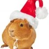 Frisco Holiday Guinea Pig Santa Hat -Frisco Sales 2024 276184 MAIN. SY630 V1631302641