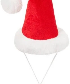 Frisco Holiday Guinea Pig Santa Hat -Frisco Sales 2024 276184 PT4. SY630 V1631303104