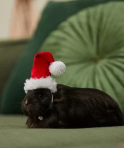 Frisco Holiday Guinea Pig Santa Hat -Frisco Sales 2024 276184 PT8. SY630 V1631302796