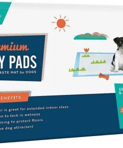 Frisco Training & Potty Pads, 22-in x 23-in, 150 count, Unscented & Frisco Extra Large Training & Potty Pads, 28-in x 34-in, 40 count, Unscented 16 Frisco Training & Potty Pads, 22-in x 23-in, 150 count, Unscented & Frisco Extra Large Training & Potty Pads, 28-in x 34-in, 40 count, Unscented -Frisco Sales 2024 276223 PT5. SY630 V1616191595