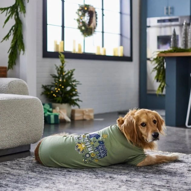 Frisco Joyful Hygge-Inspired Dog & Cat T-shirt 9 Frisco Joyful Hygge-Inspired Dog & Cat T-shirt - Image 7