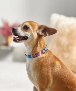 Frisco Blue Tye Dye Dog Collar -Frisco Sales 2024 276625 PT3. SY630 V1623766221