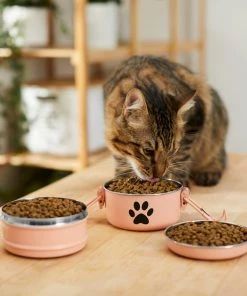 Frisco Complete Travel Stainless Steel Dog & Cat Feeder Bowl 12 Frisco Complete Travel Stainless Steel Dog & Cat Feeder Bowl -Frisco Sales 2024 277506 PT3. SY630 V1630347802