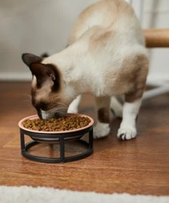 Frisco Paw Print Elevated Stainless Steel Dog & Cat Bowl 12 Frisco Paw Print Elevated Stainless Steel Dog & Cat Bowl -Frisco Sales 2024 277513 PT3. SY630 V1630348076