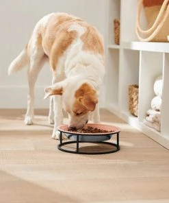 Frisco Elevated Non-skid Stainless Steel Dog & Cat Bowl 10 Frisco Elevated Non-skid Stainless Steel Dog & Cat Bowl -Frisco Sales 2024 277523 PT2. SY630 V1630346993