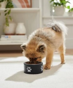 Frisco Paw Print Non-Skid Stainless Steel Dog & Cat Bowl 10 Frisco Paw Print Non-Skid Stainless Steel Dog & Cat Bowl -Frisco Sales 2024 277541 PT2. SY630 V1630346506