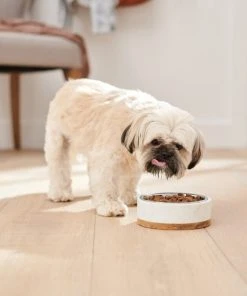 Frisco Marble Design Stainless Steel Dog & Cat Bowl with Wooden Base -Frisco Sales 2024 277554 PT2. SY630 V1630346875