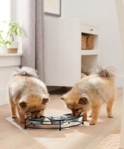 Frisco Curved Triple Feeder Stainless Steel Dog & Cat Bowl -Frisco Sales 2024 277562 PT2. SY630 V1630347102