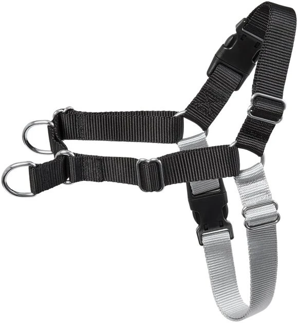 Frisco Basic No Pull Harness 3 Frisco Basic No Pull Harness