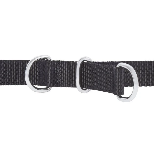 Frisco Basic No Pull Harness 5 Frisco Basic No Pull Harness - Image 3