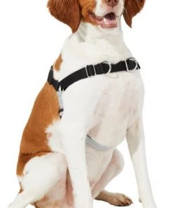 Frisco Basic No Pull Harness 10 Frisco Basic No Pull Harness -Frisco Sales 2024 277871 PT3. SY630 V1629755870