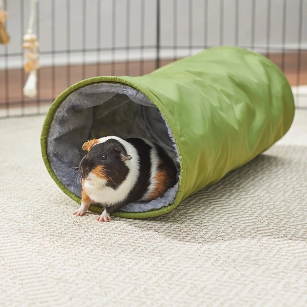 Frisco Small Pet Forest Crinkle Plush Tunnel 3 Frisco Small Pet Forest Crinkle Plush Tunnel