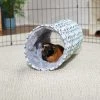 Frisco Small Pet Geometric Crinkle Plush Tunnel 1 Frisco Small Pet Geometric Crinkle Plush Tunnel -Frisco Sales 2024 278125 MAIN. SY630 V1629465653