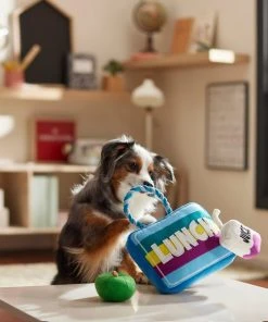 Frisco Lunchbox with Juice & Apple Plush with Rope Squeaky Dog Toy, 3 count -Frisco Sales 2024 279427 PT3. SY630 V1628191372