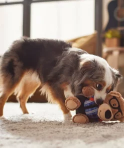 Frisco Bear Plush Squeaky Dog Toy -Frisco Sales 2024 279433 PT3. SY630 V1628191002