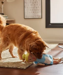 Frisco School Lunch Lady Plush Squeaky Dog Toy -Frisco Sales 2024 279449 PT3. SY630 V1628191320