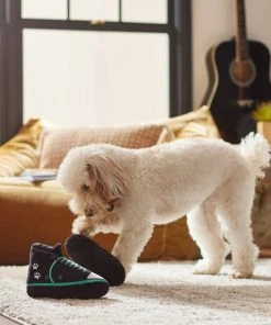 Frisco Sneakers Plush Squeaky Dog Toy, 2 count -Frisco Sales 2024 279453 PT3. SY630 V1628191213