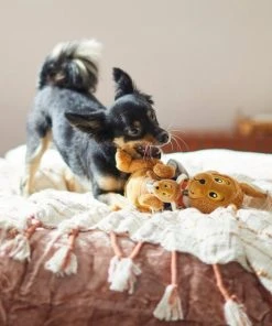 Frisco Kangaroo & Joey Plush Squeaky Dog Toy, 2 count -Frisco Sales 2024 285601 PT3. SY630 V1629725095