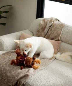 Frisco Hipster Moose Plush Squeaky Dog Toy -Frisco Sales 2024 285603 PT3. SY630 V1629725389