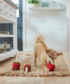 Frisco Candy Apples Plush Squeaky Dog Toy, 3 count -Frisco Sales 2024 285621 PT3. SY630 V1629724890