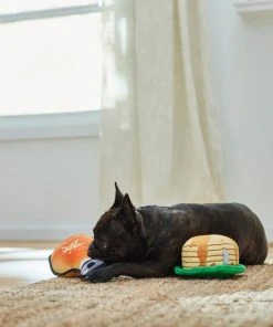 Frisco Pancakes & Maple Syrup Plush Squeaky Dog Toy, 2 count -Frisco Sales 2024 285627 PT3. SY630 V1629725170