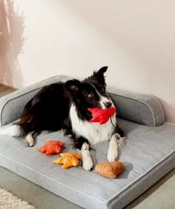 Frisco Fall Leaves Plush Squeaky Dog Toy, 4 count -Frisco Sales 2024 285637 PT3. SY630 V1629725195