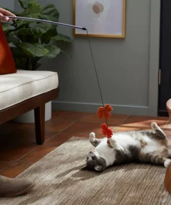 Frisco Fall Acorn & Leaves Teaser Cat Toy with Catnip 7 Frisco Fall Acorn & Leaves Teaser Cat Toy with Catnip -Frisco Sales 2024 285651 PT3. SY630 V1629725347