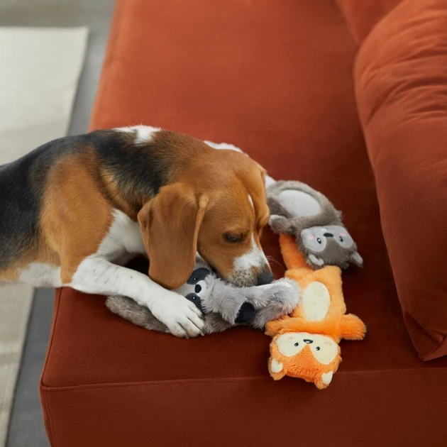 Frisco Forest Friends Stuffing-Free Skinny Plush Squeaky Dog Toy 5 Frisco Forest Friends Stuffing-Free Skinny Plush Squeaky Dog Toy - Image 3