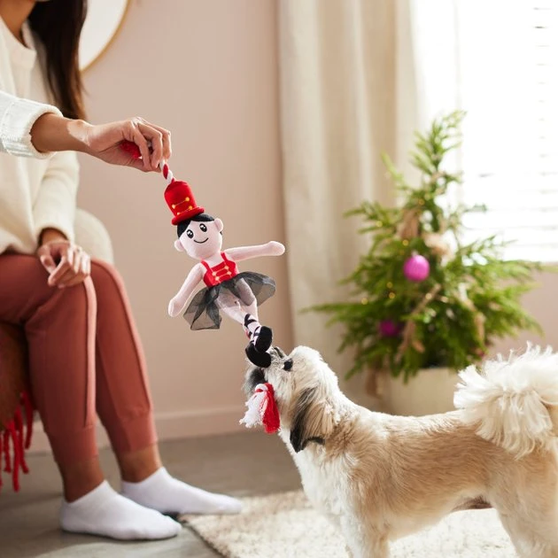 Frisco Ballerina Plush with Rope Squeaky Dog Toy 5 Frisco Ballerina Plush with Rope Squeaky Dog Toy - Image 3