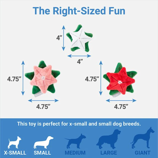 Frisco Flowers Plush Squeaky Dog Toy, 3 count 4 Frisco Flowers Plush Squeaky Dog Toy, 3 count - Image 2