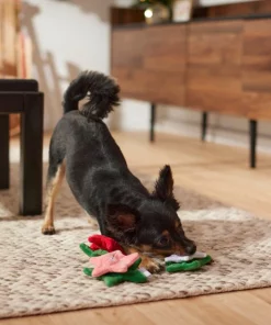 Frisco Flowers Plush Squeaky Dog Toy, 3 count 7 Frisco Flowers Plush Squeaky Dog Toy, 3 count -Frisco Sales 2024 287161 PT3. SY630 V1632773103