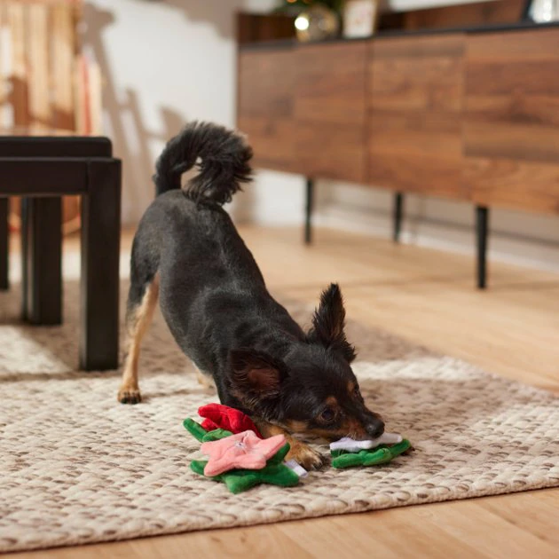 Frisco Flowers Plush Squeaky Dog Toy, 3 count 5 Frisco Flowers Plush Squeaky Dog Toy, 3 count - Image 3