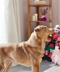 Frisco Zombie Plush with Rope Squeaky Dog Toy -Frisco Sales 2024 287221 PT3. SY630 V1632776815