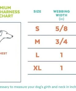 Frisco Padded Step-In Harness -Frisco Sales 2024 287449 PT1. SY630 V1631899269