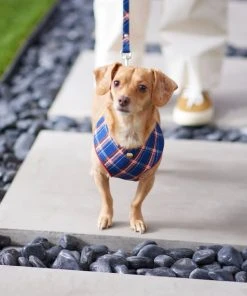 Frisco Fashion Over-The-Head Harness, Blue Plaid -Frisco Sales 2024 287470 PT8. SY630 V1632316703