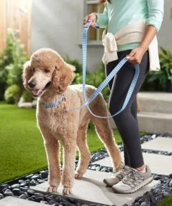 Frisco Fashion Leash, Striped -Frisco Sales 2024 287495 PT8. SY630 V1632316707