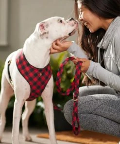 Frisco Fashion Leash, Buffalo Plaid 9 Frisco Fashion Leash, Buffalo Plaid -Frisco Sales 2024 287498 PT8. SY630 V1632315183
